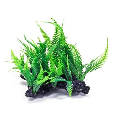 AQUATOP 6"x7" Green Fern on Rock Plastic Plant Heavy Base for Aquariums, PD-T13