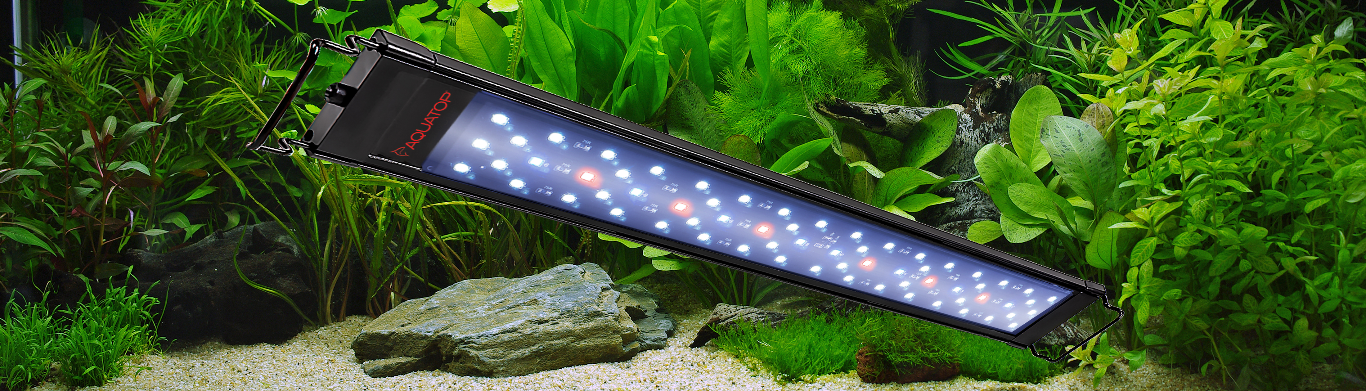 Freshwater SkyAqua Lights