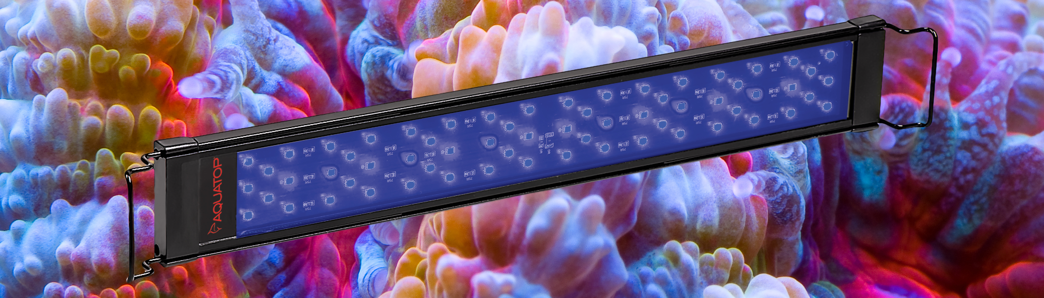 SkyAqua Blue LED