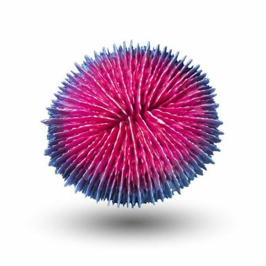 AQUATOP Pink & Purple Plate Coral Decor - Lifelike Reef Aquarium Ornament, CD-02PPF